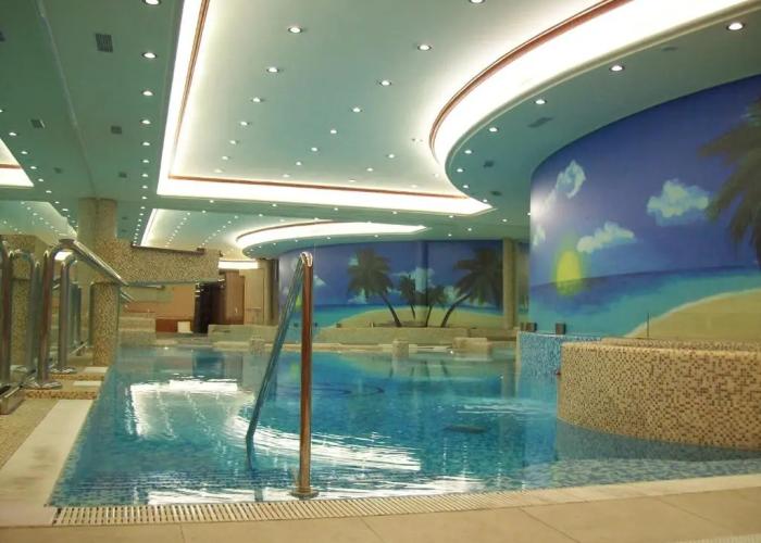 Palace Hotel Legnano