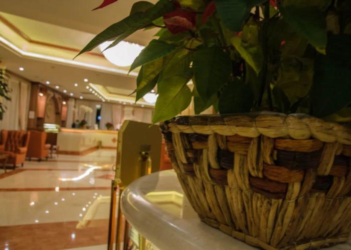 Palace Hotel Legnano