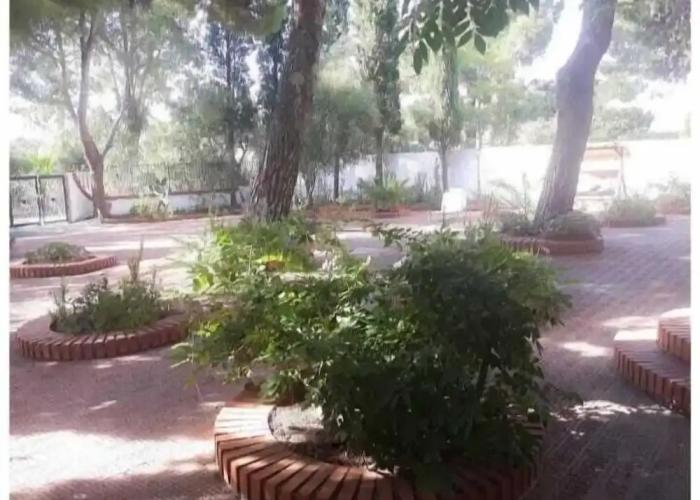 Villa Il Glicine Bed & Breakfast