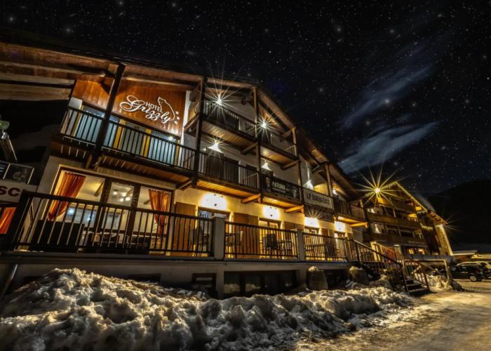 Hotel Grizzly