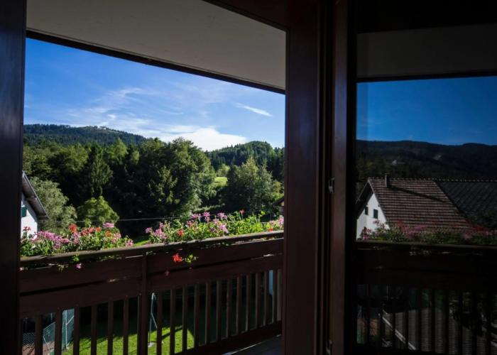 Hotel Trentino