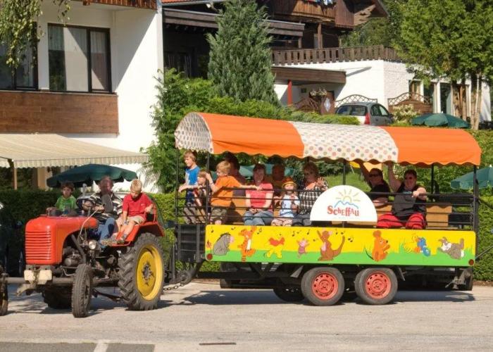 Garni Hotel Alpin Scheffau