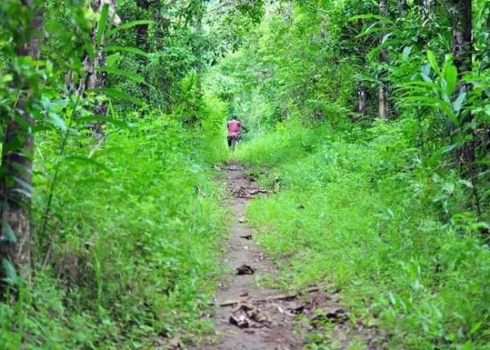 Schitzo Hills Forest Resort
