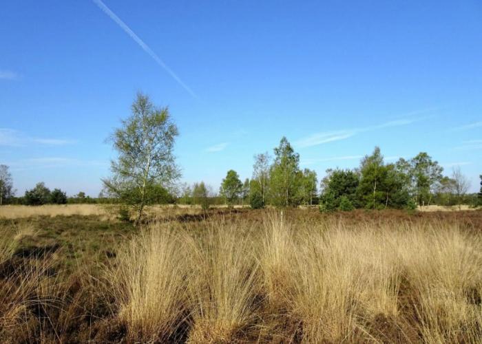 Cozy Group House in Reusel in a Natural Environment