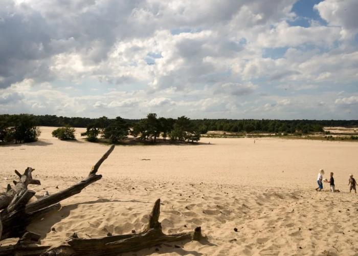 Tent Lodge Near Loonse and Drunense Duinen