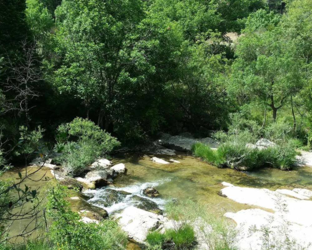 фото ibis budget Saint Maximin la Sainte Baume