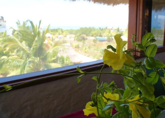 Ensueño Holbox and Beach Club