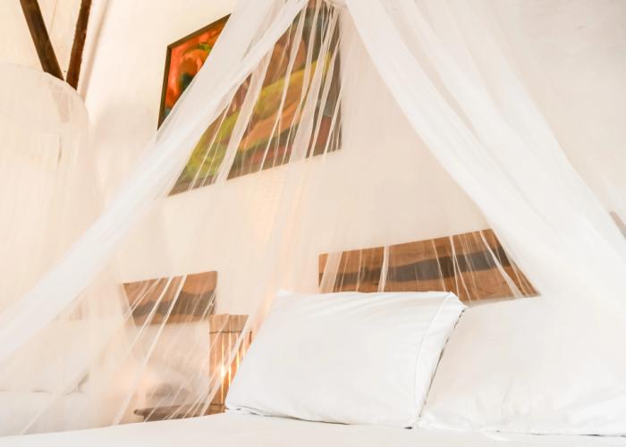 Zomay Beachfront Hotel Holbox