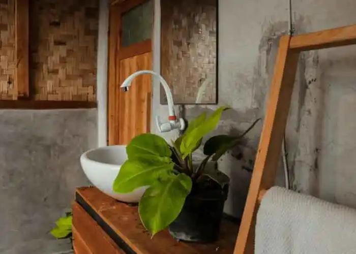 Paddies Homestay Sukawangi RedPartner