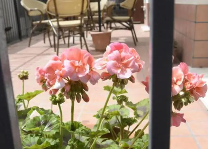 B&B San Leonardo