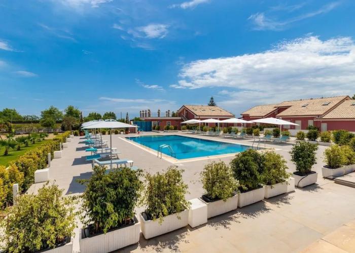 Dipladenia Garden Country House