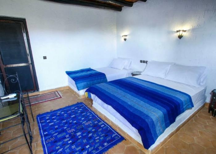 Palmeras y Dunas
