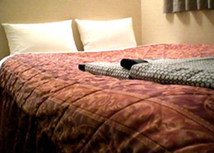 Business Hotel Goi Hills