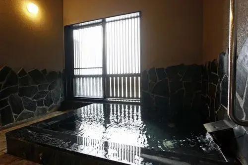 Hotel Shosenkaku Romankan