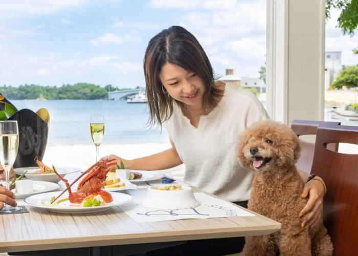 Pet Resort Brains Amakusa