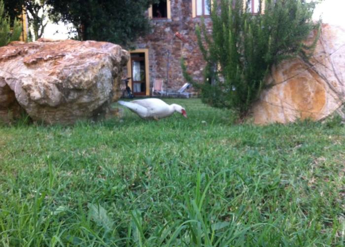Agriturismo Bio Fattoria di Pietra