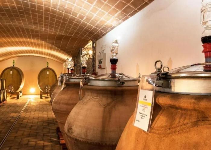 Tenuta Casteani