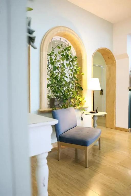 фото Mikes Kanarium Hotel