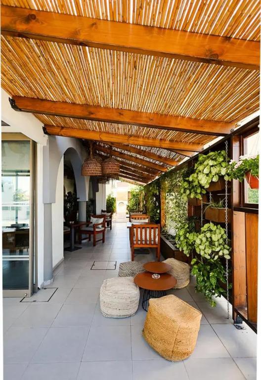 фото Mikes Kanarium Hotel