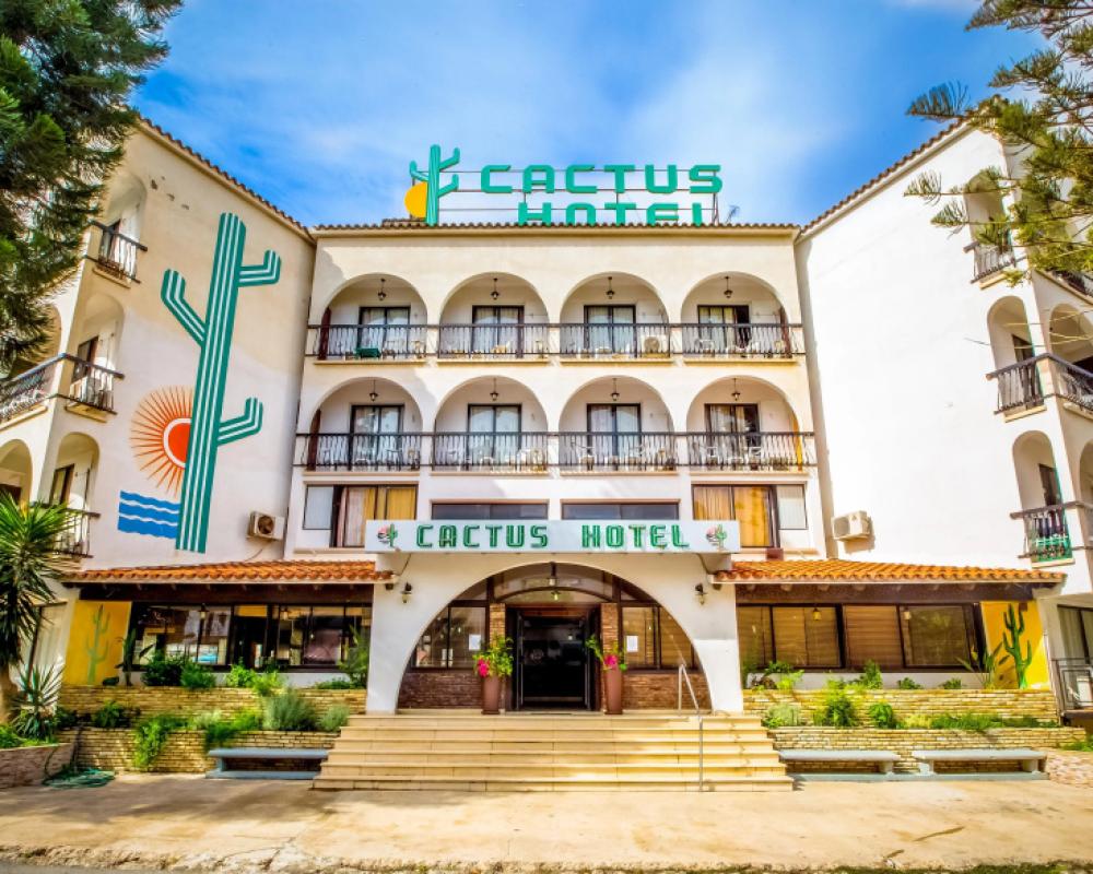 фото Cactus