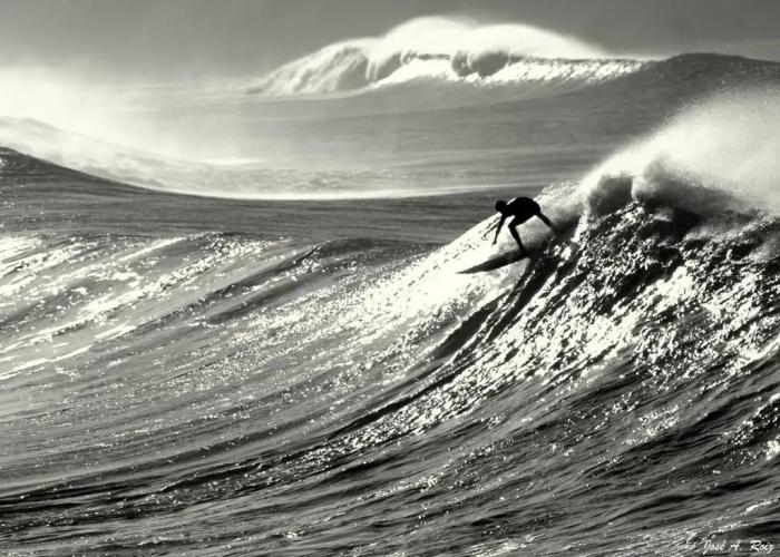 La Surferia