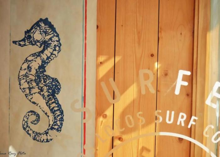 La Surferia
