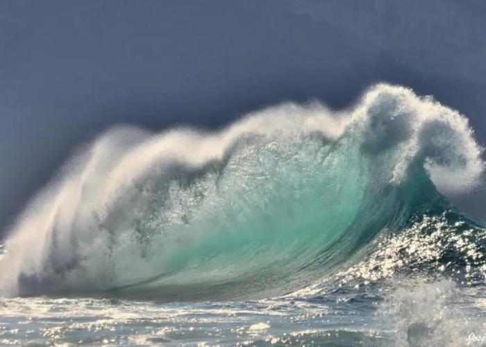 La Surferia