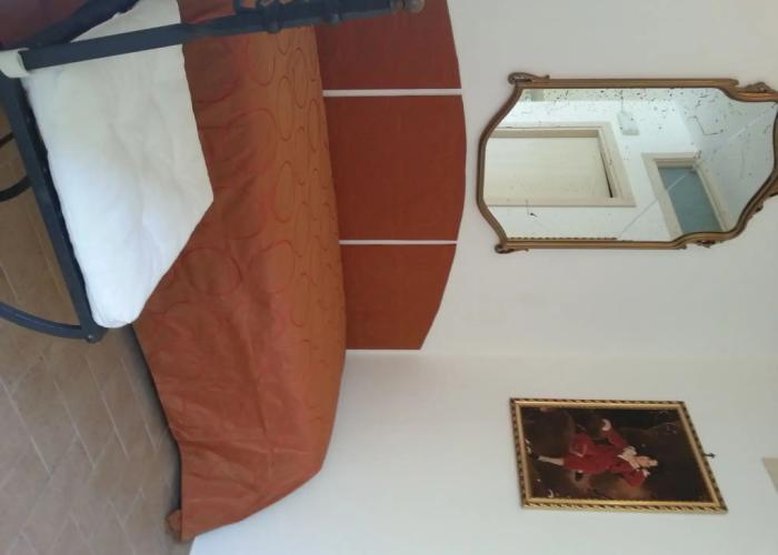 Chicchi di Melograno