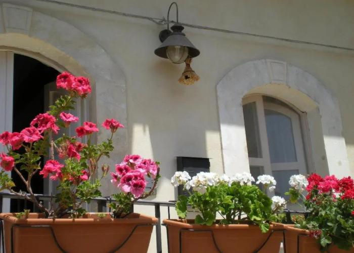 Chicchi di Melograno