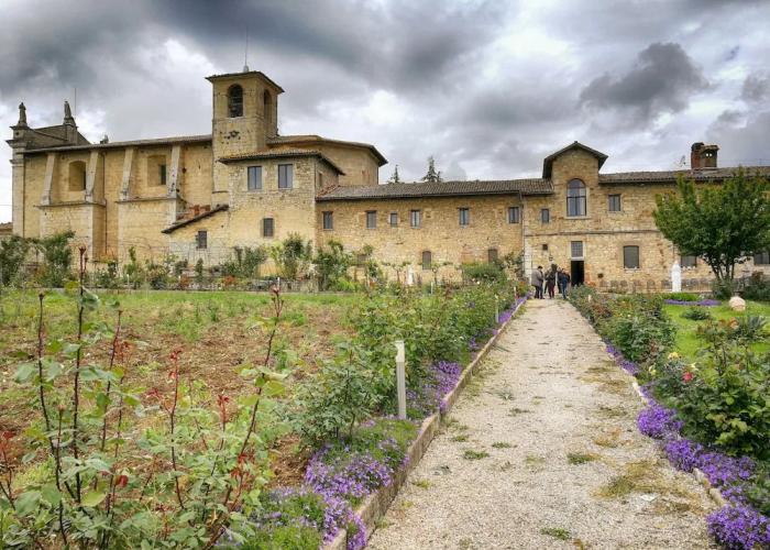 Agriturismo Casa Greppo - Il Mandorlo