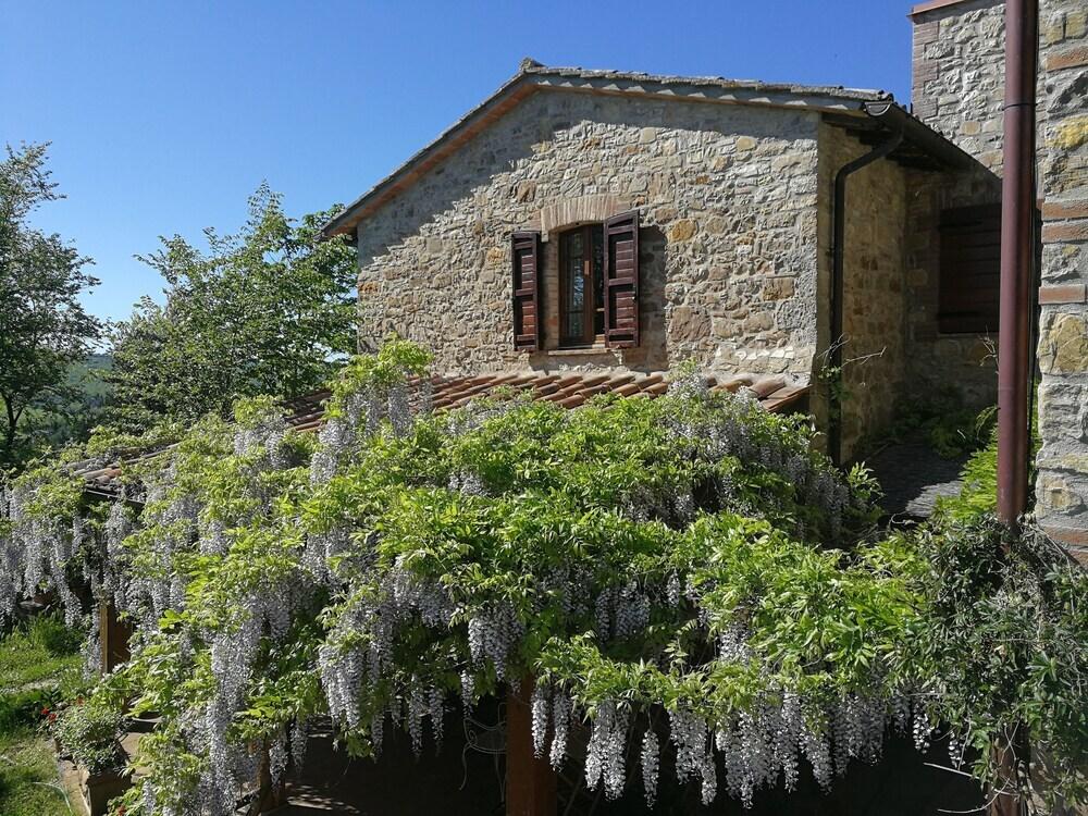 Agriturismo Casa Greppo - L'Ulivo