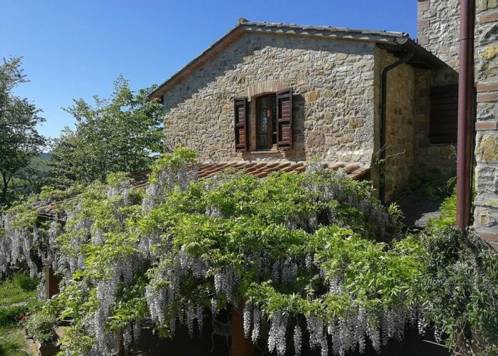 Agriturismo Casa Greppo - L'Ulivo