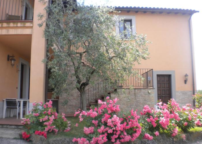 Agriturismo Poggio Degli Olivi - Guest House