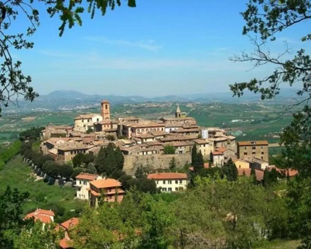 фото La Piazzetta