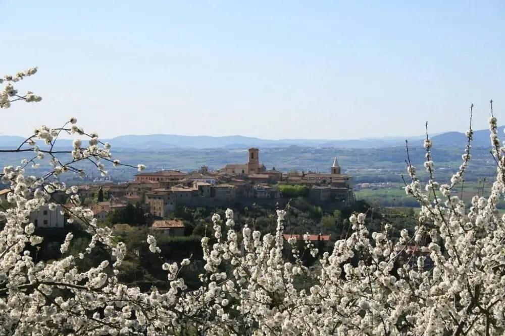 фото La Piazzetta