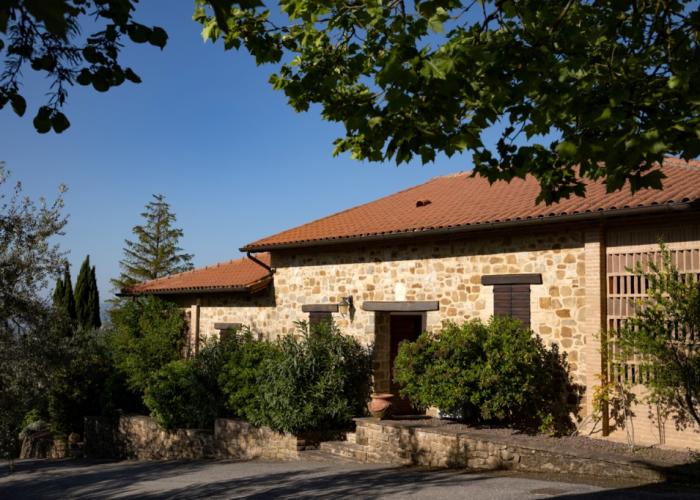 Il Poggio degli Olivi