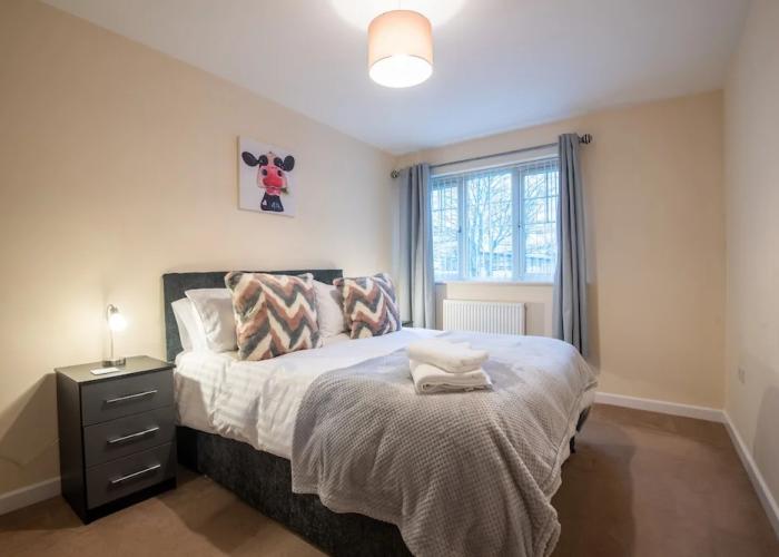Apartment No 11