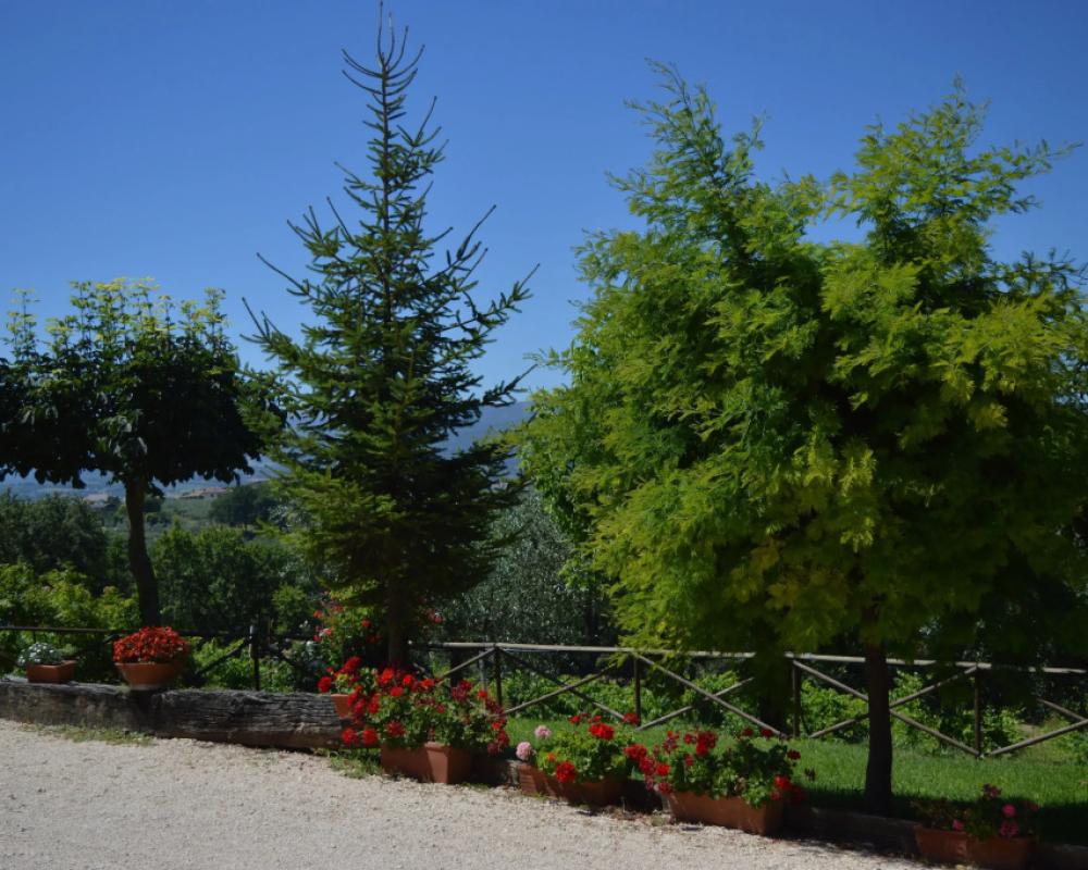фото Residenza Cardinal Girolamo Di Moncelli