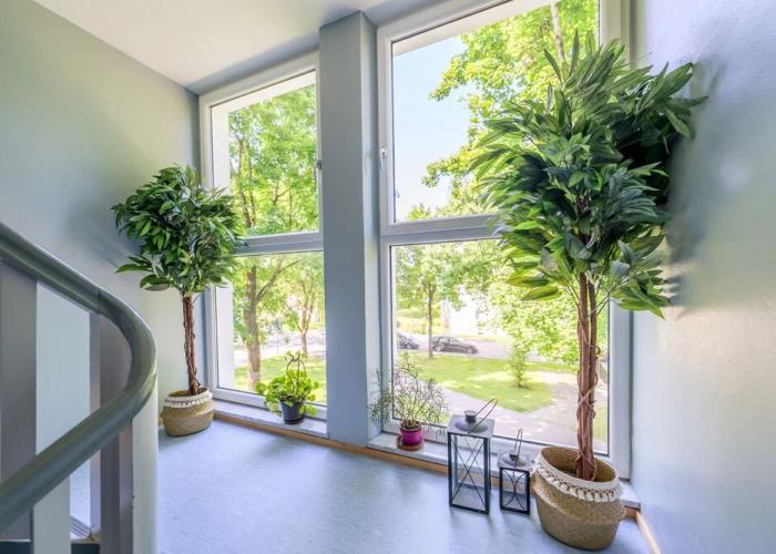 1OG M 65m2 City Wohnung nähe Salzburg