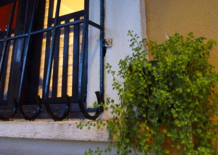 Afonso Guest House