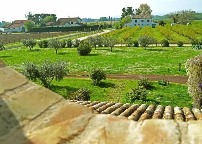 La Fornasaccia