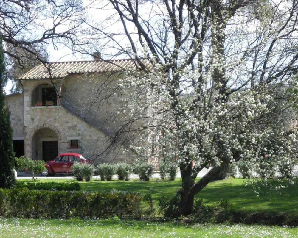 фото Villa Acquaviva