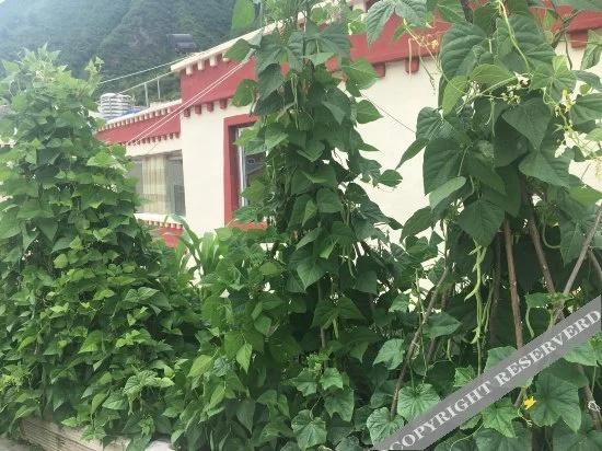 Yingxi Boutique Inn