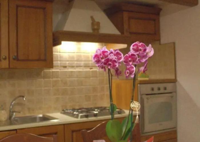 La Rosa dei Trulli B&B