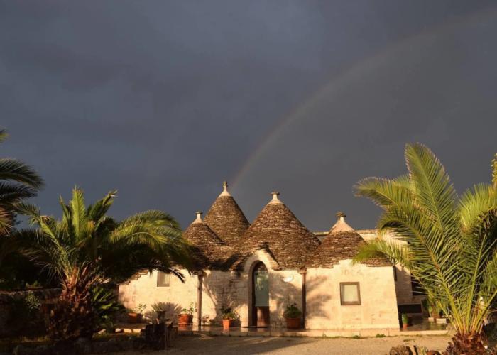 La Rosa dei Trulli B&B