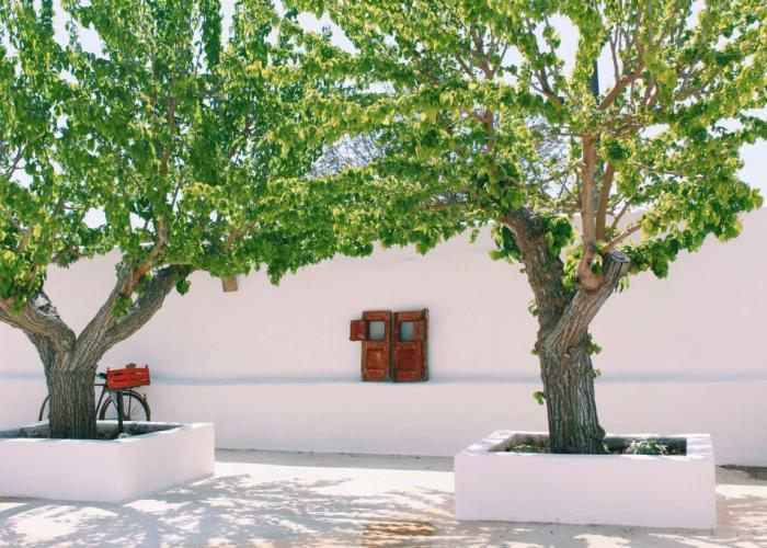 Masseria San Michele