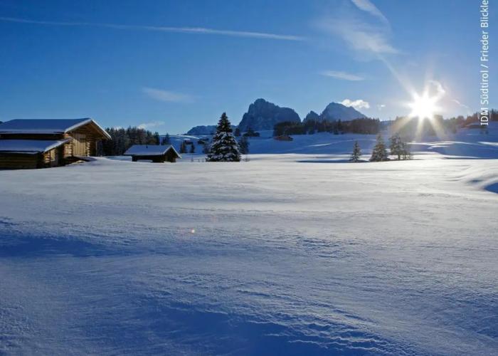 Hotel Sonus Alpis - Adults Only