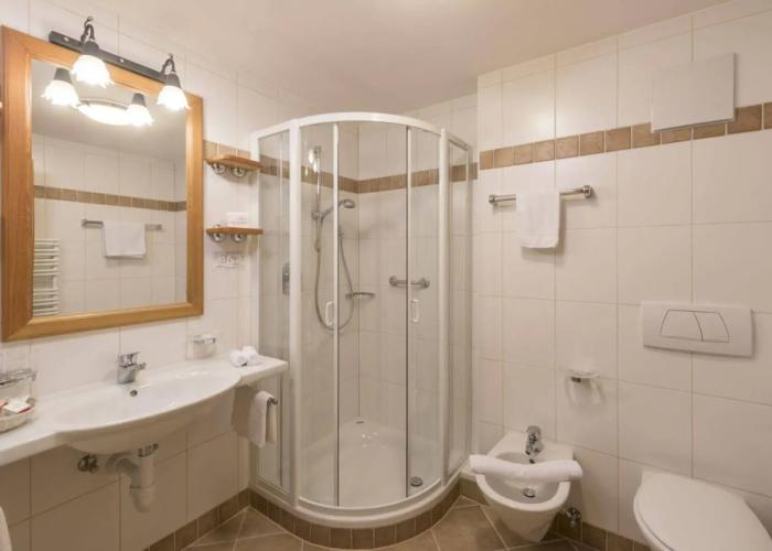 Hotel Steger-Dellai