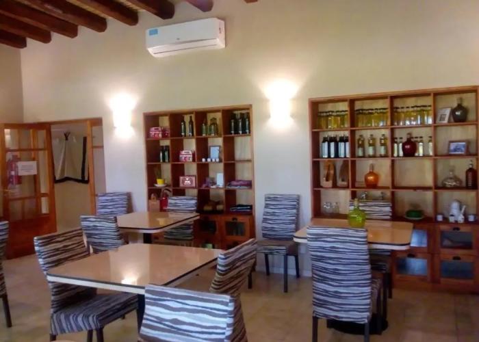 Posada Cavieres Wine Farm