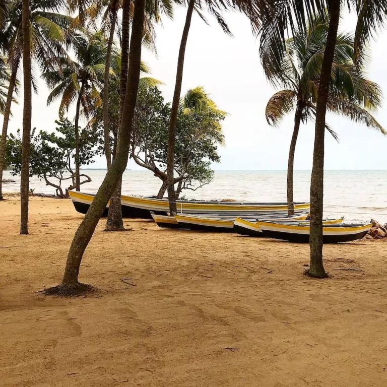фото Pelican Beach Resort